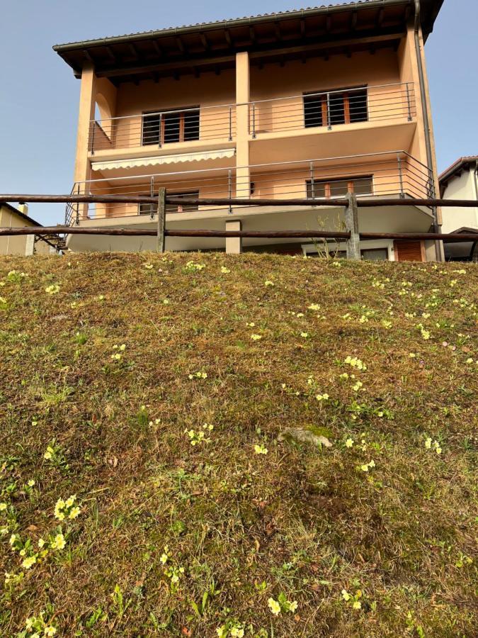Green View Apartments Tenero-Contra Ngoại thất bức ảnh